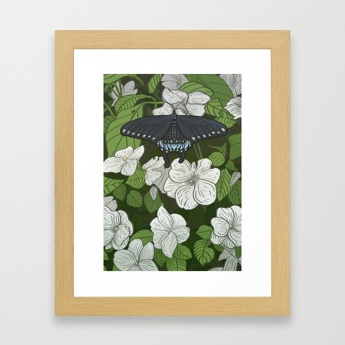 Swallowtail Framed Art Print