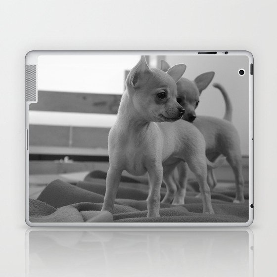 Chihuahua Laptop & iPad Skin