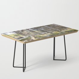 Scottish Highlands Spring Pine Forest Scene in  I Art and Afterglow Coffee Table
