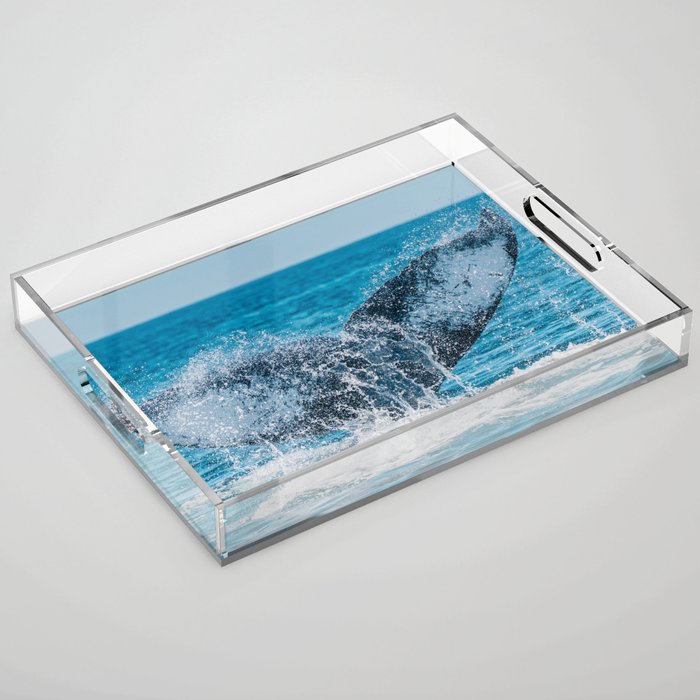 Humpback Whale Tail, Ocean Photography, Seascape Print Acrylic Tray
