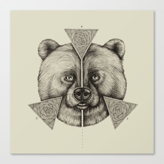 'Natural Symmetry' Canvas Print