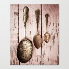 Three Spoons on Pink Wood Canvas Print