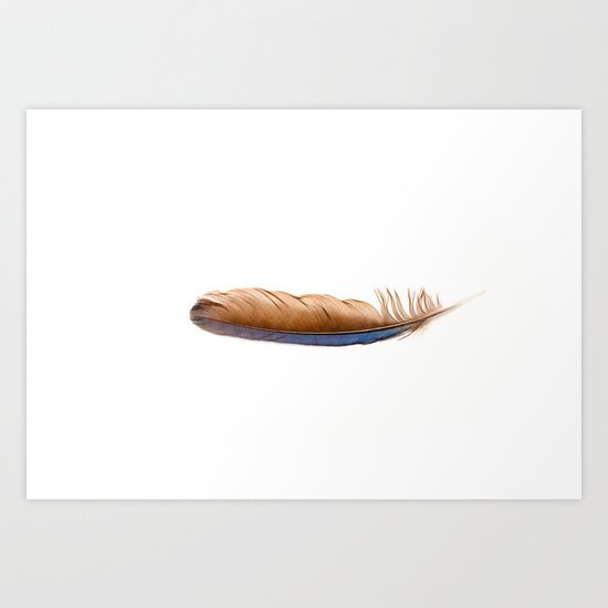 Jay Feather Art Print