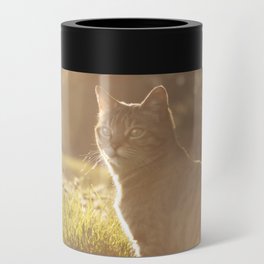 Tabby cat Can Cooler