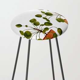 Pilea Modern Indoor Plant  Counter Stool