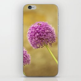 Lilac purple flowers | Globe shaped ornamental onion | Blooming Allium iPhone Skin