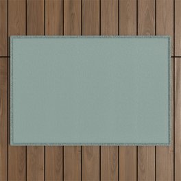 Organic Pastel Aqua Solid Color Accent Shade / Hue Matches Sherwin Williams Calico SW 0017 Outdoor Rug