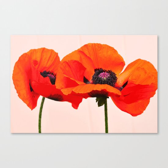 A HAPPY COUPLE Canvas Print