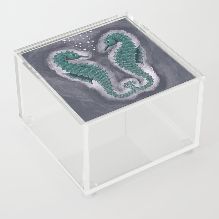 Seahorse gaze Acrylic Box
