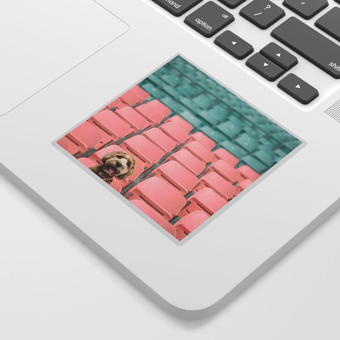 Labradoodle Sitting in Stadium Sticker