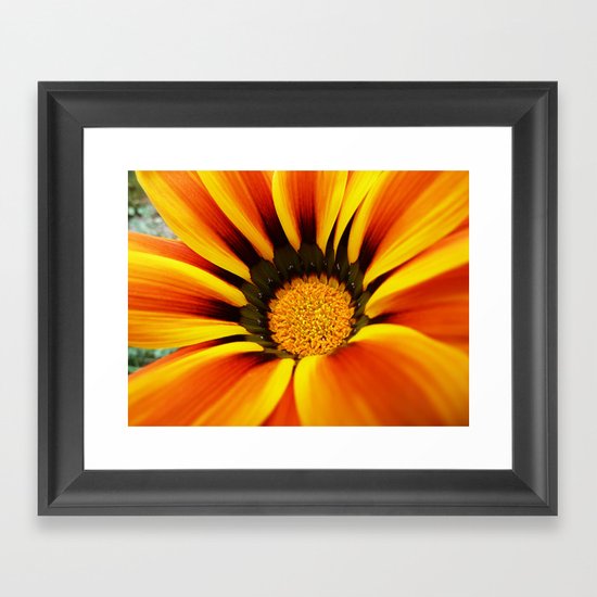 Orange flower Framed Art Print