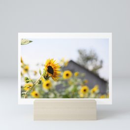 Sunflowers Mini Art Print