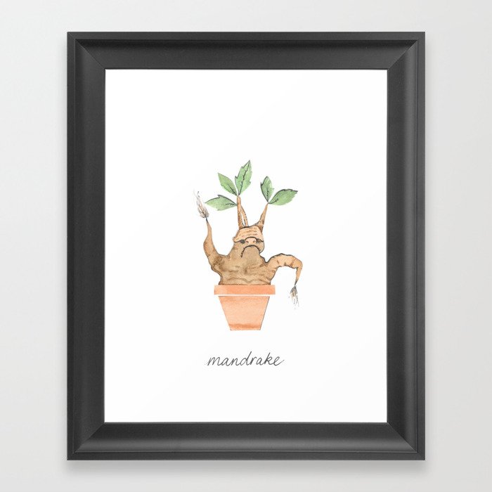 Mandrake Framed Art Print