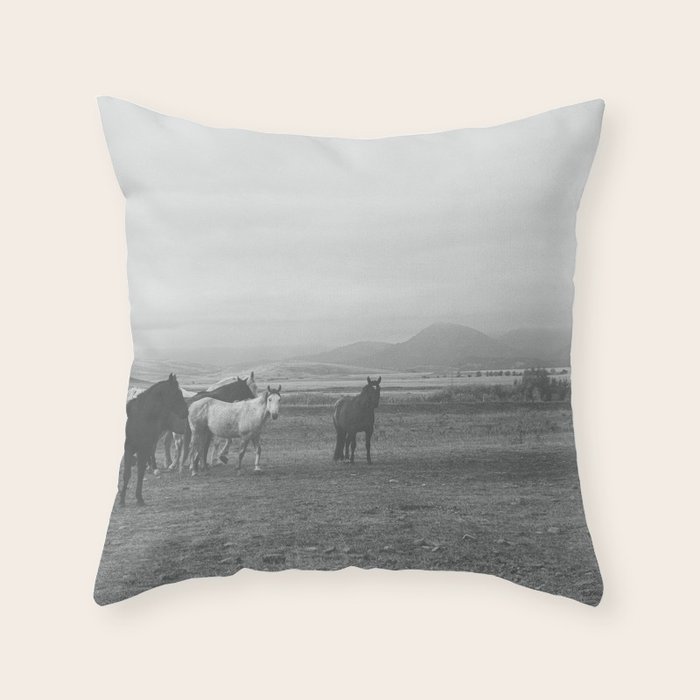 Throw Pillow