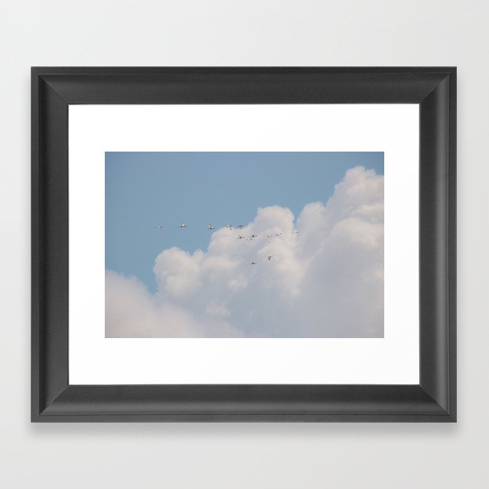 Ibis in the sky / Everglades Florida / Fine Art and Travel Photography Framed Art Print