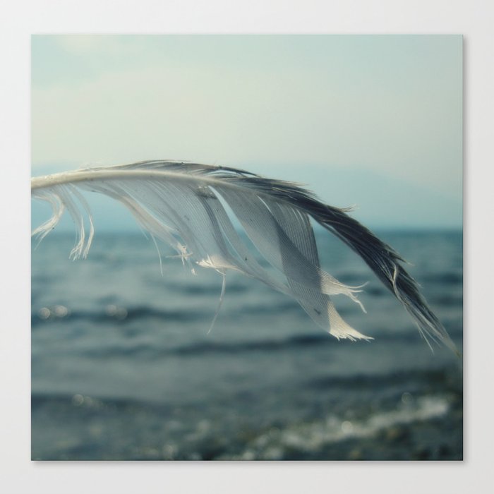 Ocean Feather Canvas Print