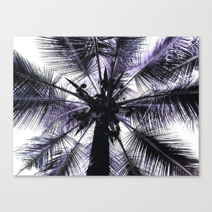 coco Canvas Print