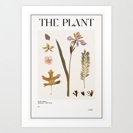 The Plant. Autumn Herbarium 7 Art Print