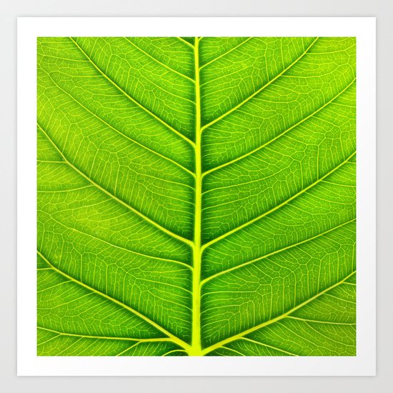 Leaf Art Print