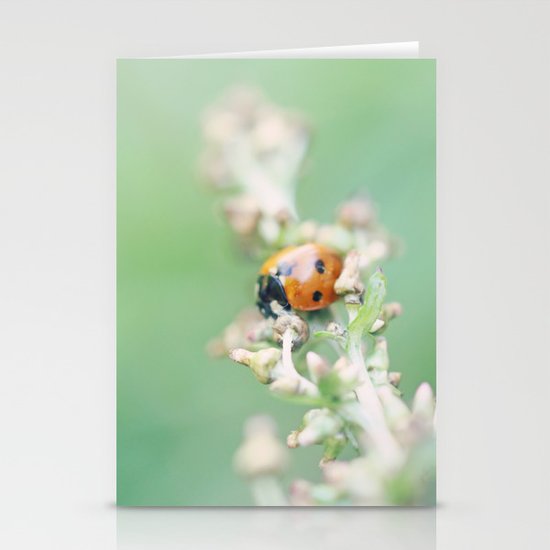 Enchanted Lady Stationery Cards