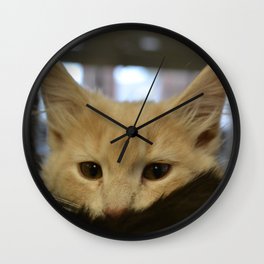 Can you see me? Wall Clock