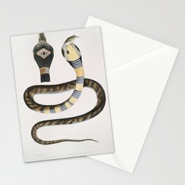 Wampum Snake Stationery Card