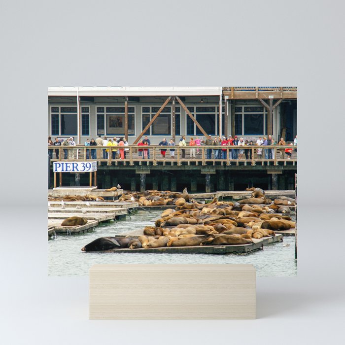 Pier 39, San Francisco Harbor Mini Art Print