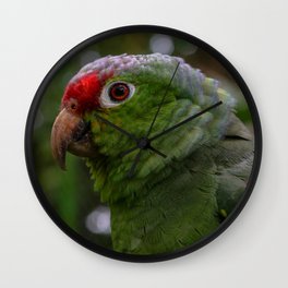 Amazon Green Parrot in Costa Rica Wall Clock