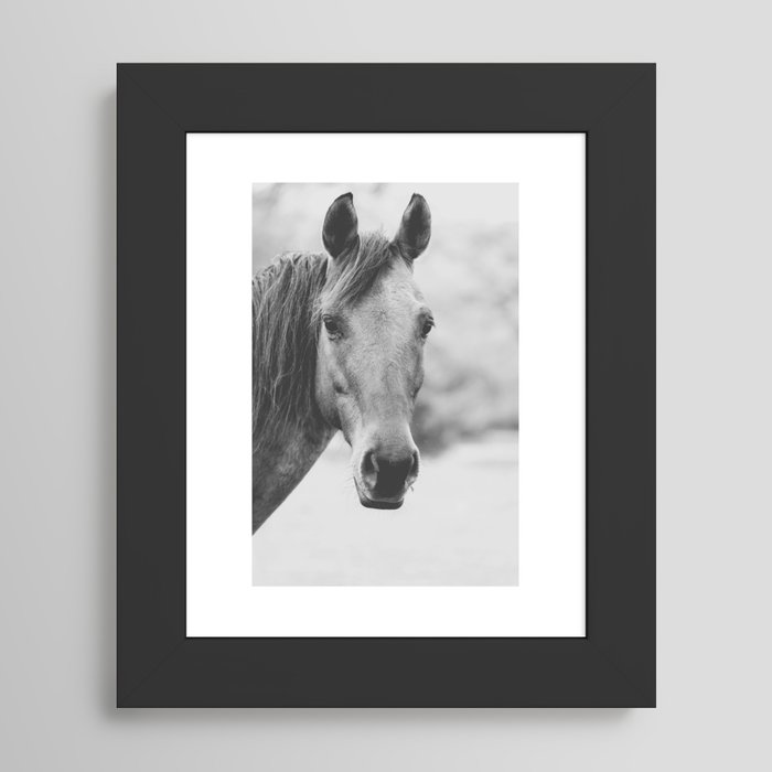 Framed Art Print