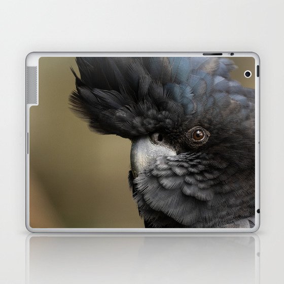 Close up head of male Red-tailed Black-Cockatoo Laptop & iPad Skin