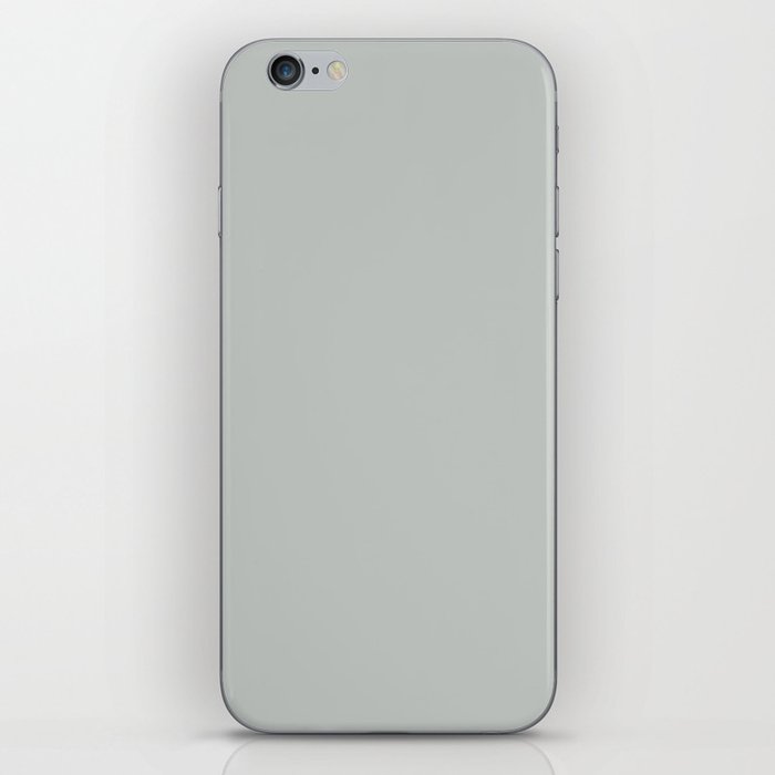 Engagement Silver iPhone Skin