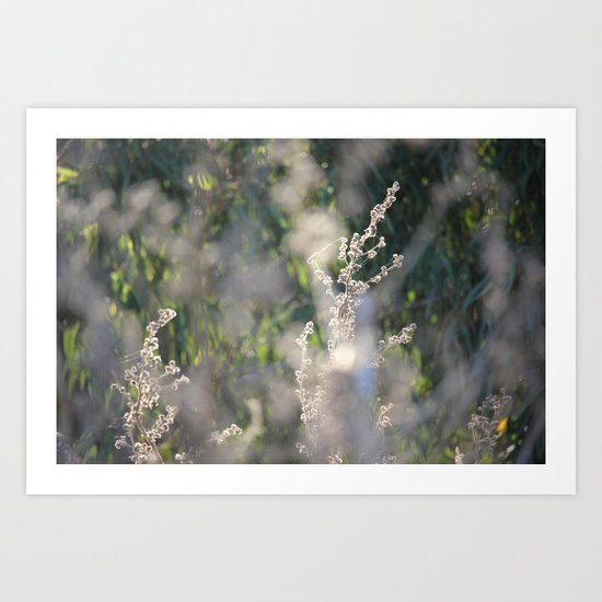 On The Sunny Side of Life Art Print