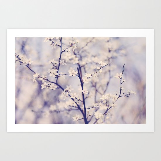 Spring blossom Art Print