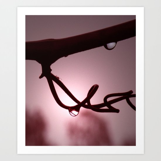 Sunrise Vine Art Print
