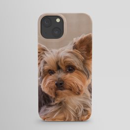 Tiffany the Teacup Yorkshire Terrier iPhone Case
