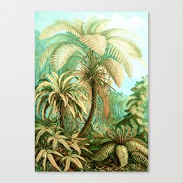 Vintage Tropical | Jungle Botanical Nature Banana Tree | Bohemian Plants Trees Forest Canvas Print