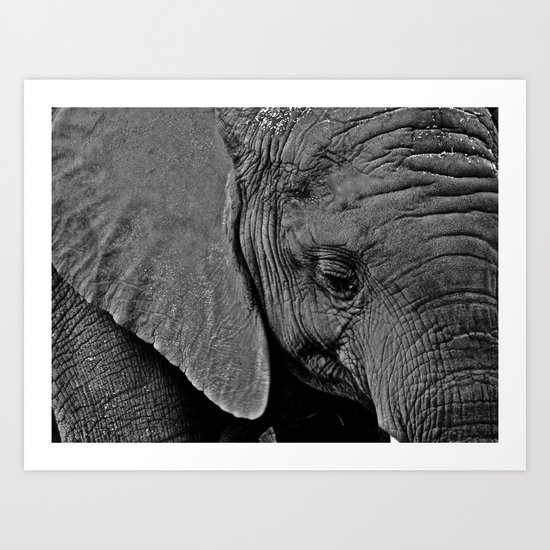 Beauty is Skin Deep Art Print