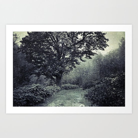 Pathway of Life Art Print