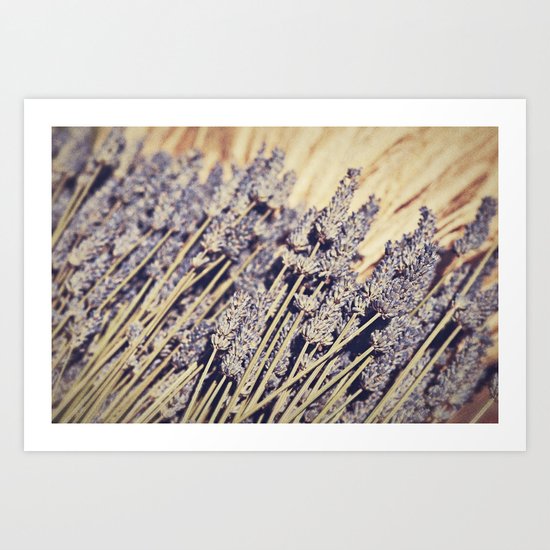 Lavender Flowers Art Print