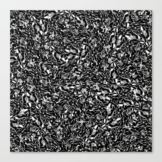 Seeds Canvas Print