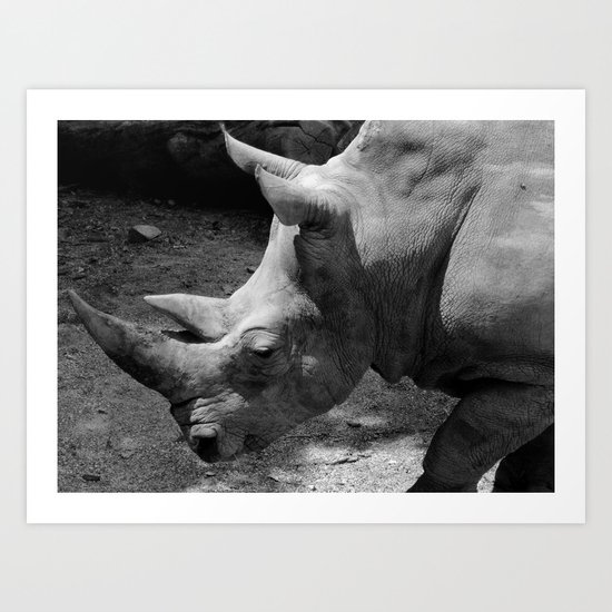 rhino Art Print
