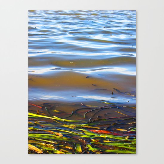 Lagoon Canvas Print