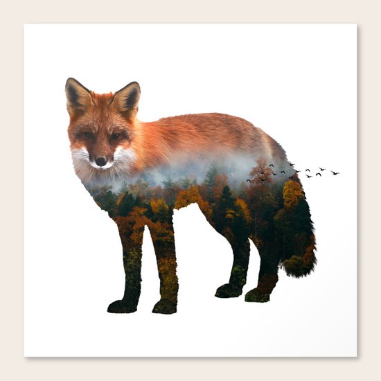 Fox Canvas Print