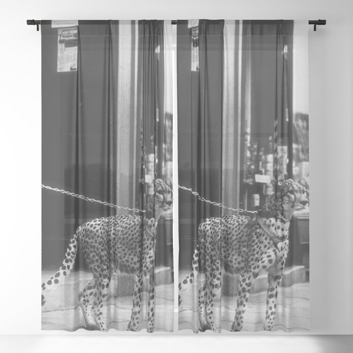 Sheer Curtain