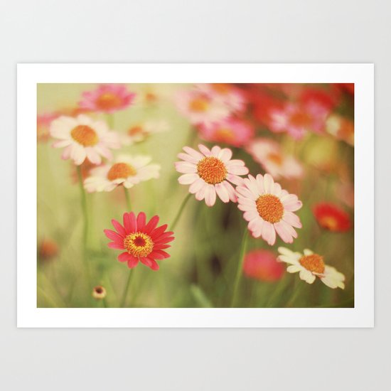 Daisy Love Art Print