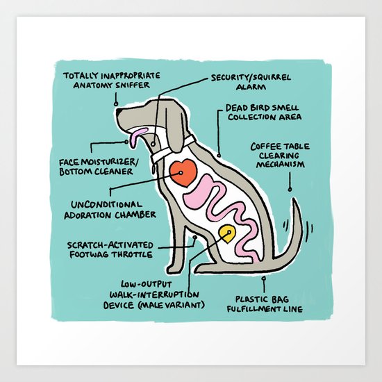 Canine Anatomy Art Print
