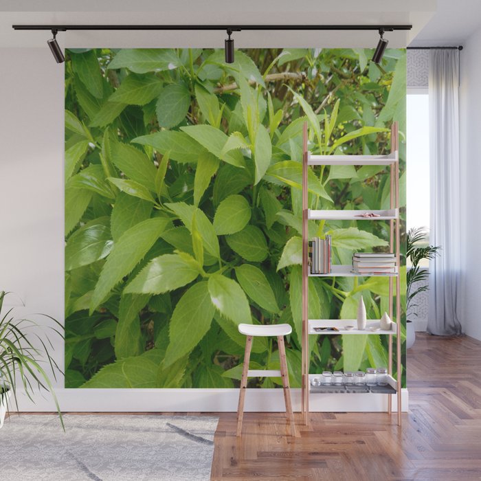 Greenery and leaf VII Wall Mural