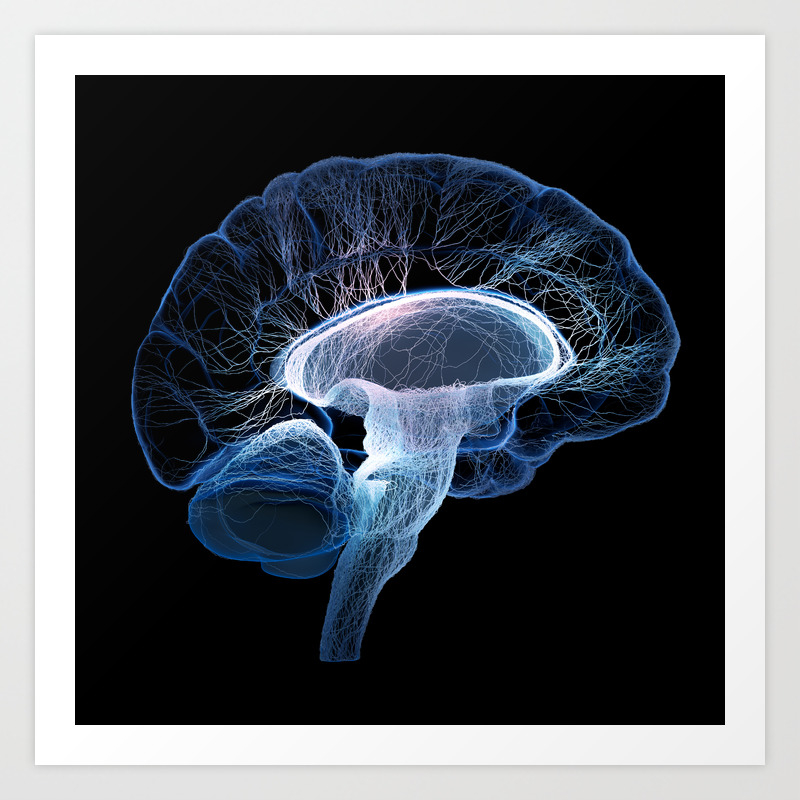 Human Brain Illustrated With Nerves 3d Art Print By
