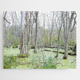 Swamp Water and Dead Trees Jigsaw Puzzle