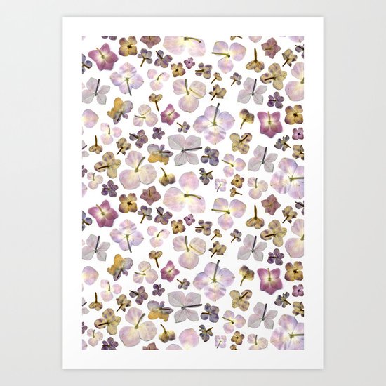 Scattered Hydrangea Art Print